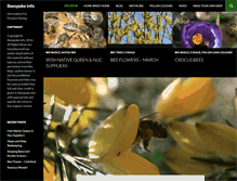 Tablet Screenshot of beespoke.info